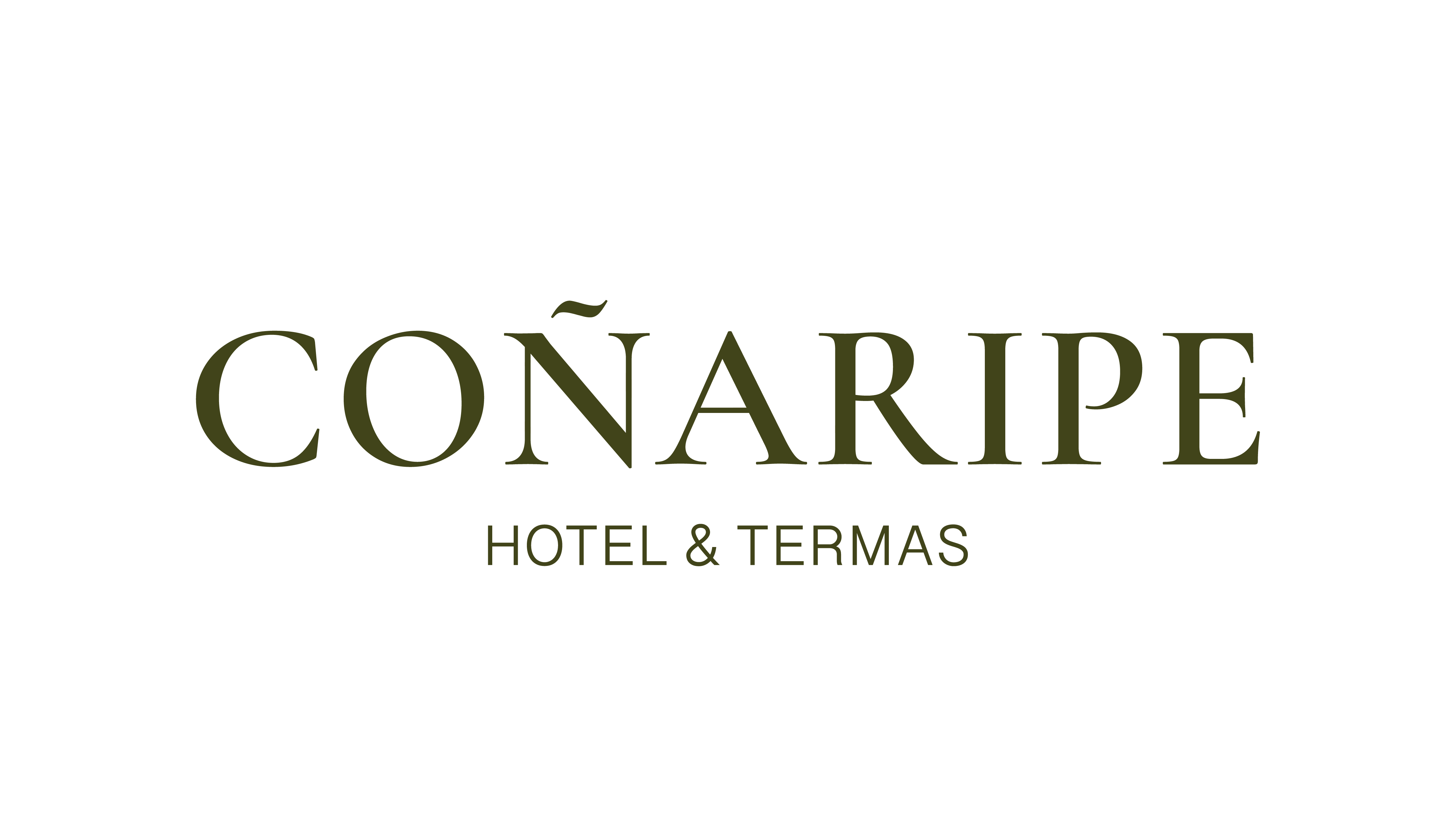 Coñaripe Hotel & Termas