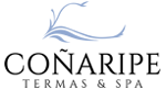 Termas Coñaripe